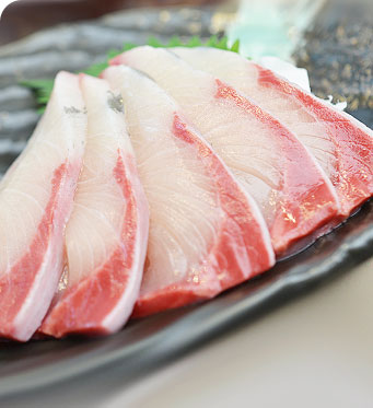 冷凍切り身事業